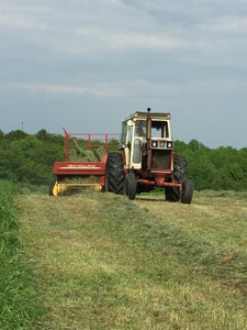 Hay Making